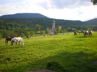 Aux Amoureux du Cheval et de la Nature